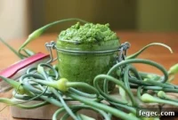 Garlic Scape Pesto Recipe: Bright Summer Sauce for Garlic Lovers