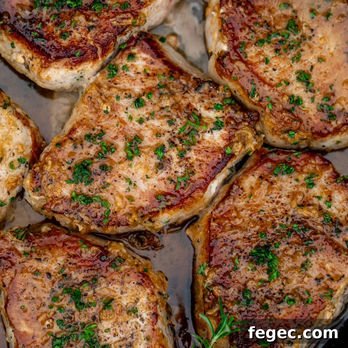 featured 16374