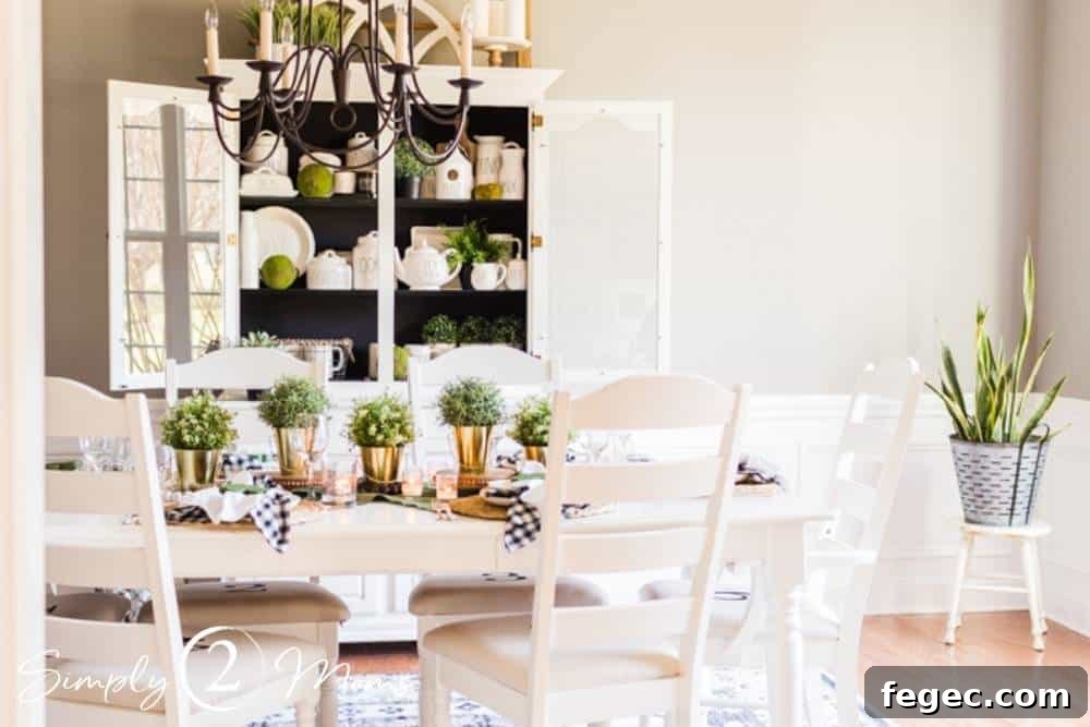 featured 17885
