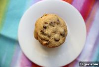 Chewy Malted Chocolate Chip Cookies: Silky, Crunch-Free Treat