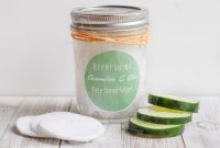 DIY Aloe Vera Face Pad Toner: 4-Ingredient Skin Soother