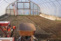 Plan Your Garden Now: How to Choose and Buy Seeds for Success