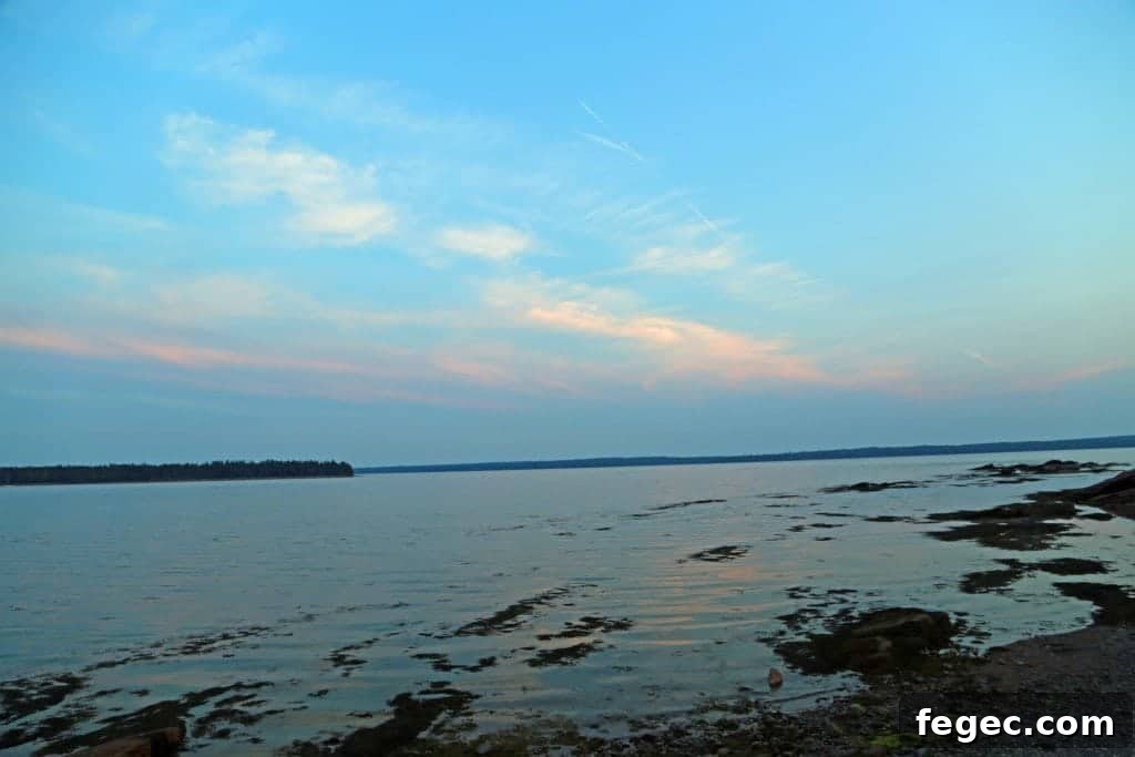 looking over the water at sunset