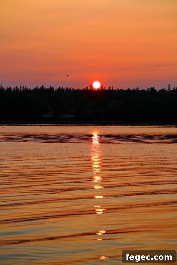 Sunset over the water 