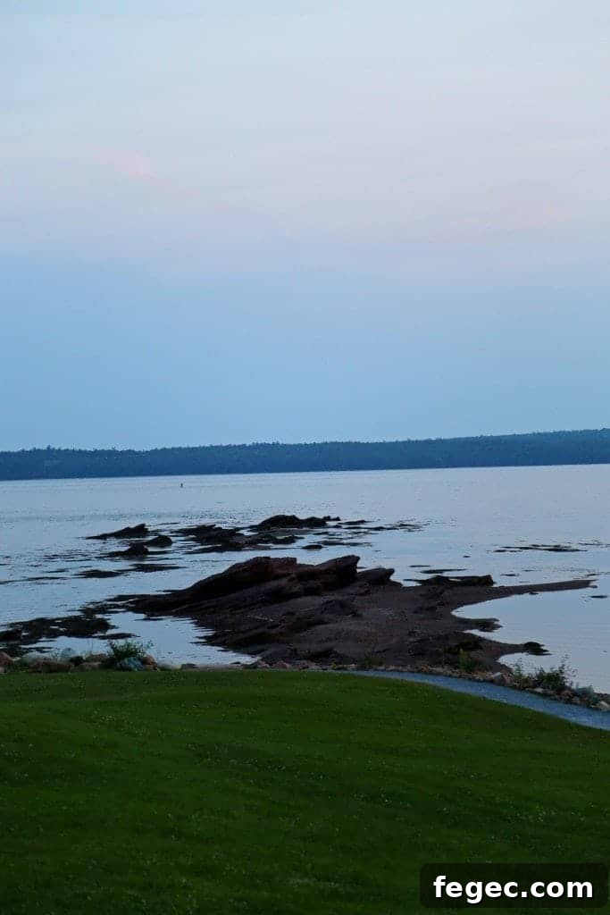 water and rocks from a lawn 