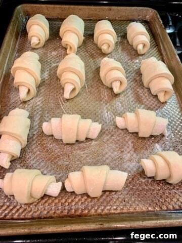 Unbaked potato rolls on a baking pan in the oven