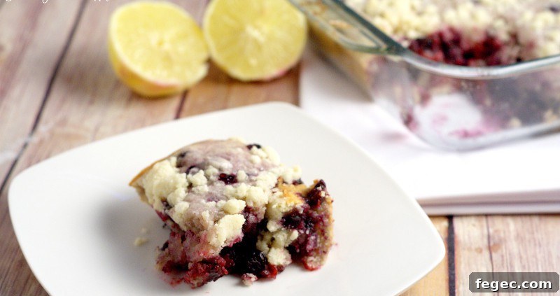 Blueberry Lemon Coffee Cake