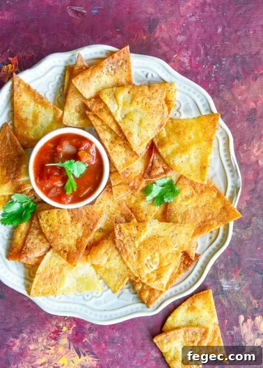 Baked Tortilla Chips