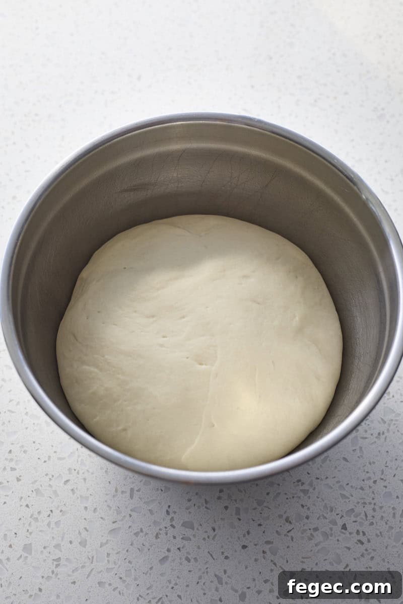 Dough in the bowl after rising.