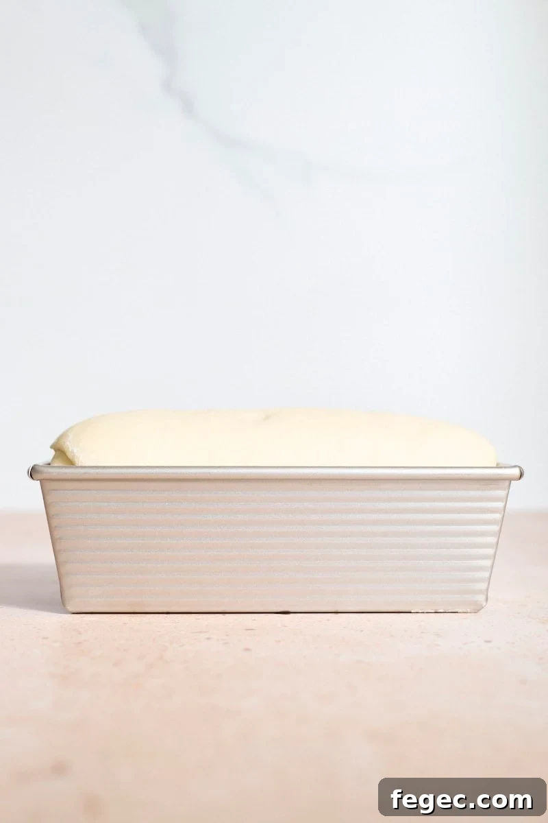 Dough risen an inch above the edge of the pan.