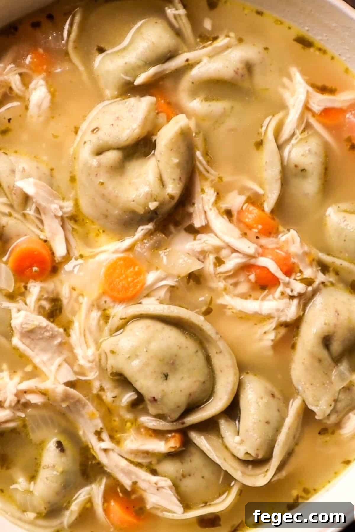 tortellini and chicken soup