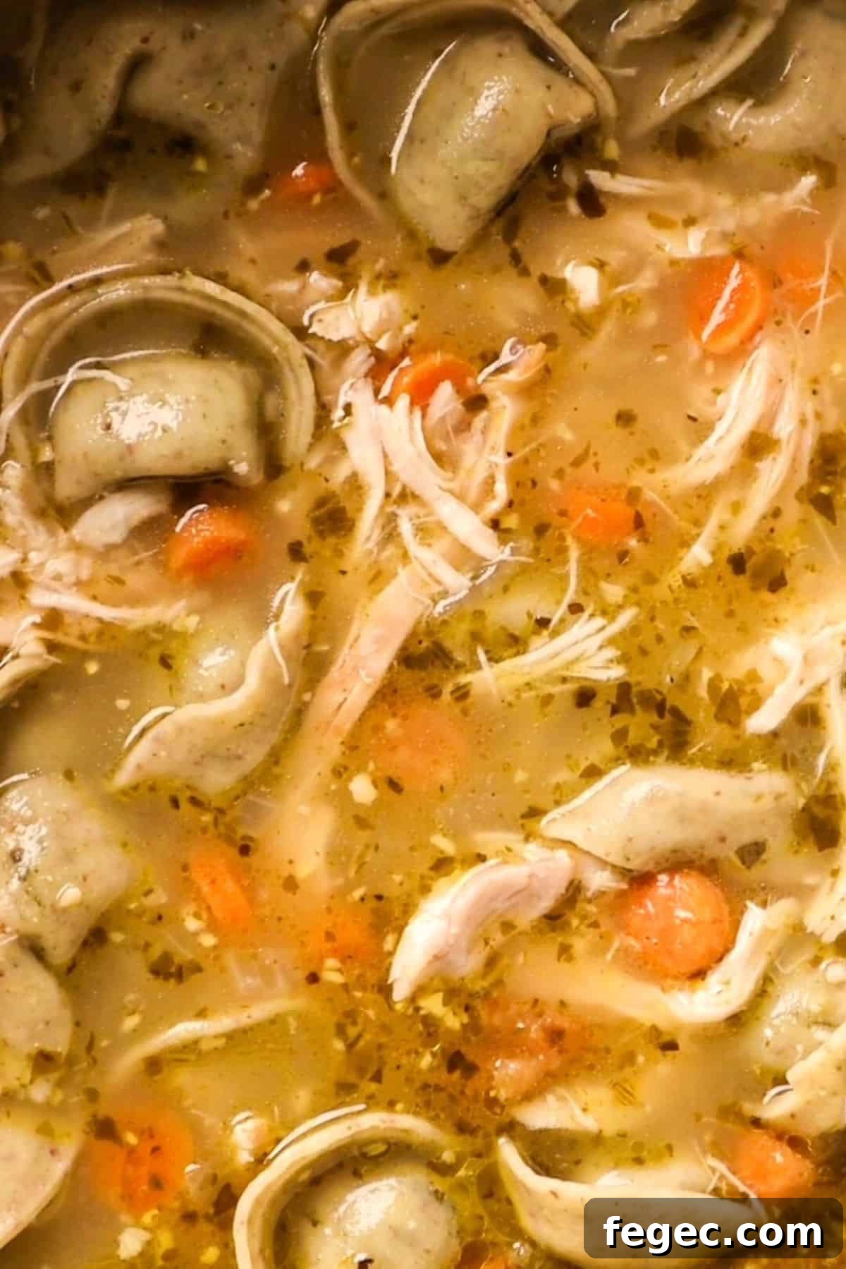 tortellini chicken soup