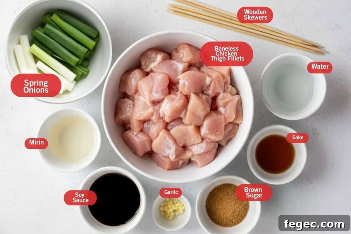 Flat lay photo of ingredient shot of spring onions, wooden skewers, boneless chicken thigh fillets, water, sake, brown sugar, garlic, soy sauce, mirin