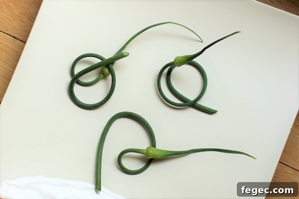 garlic scape pesto - 3 beautiful curls