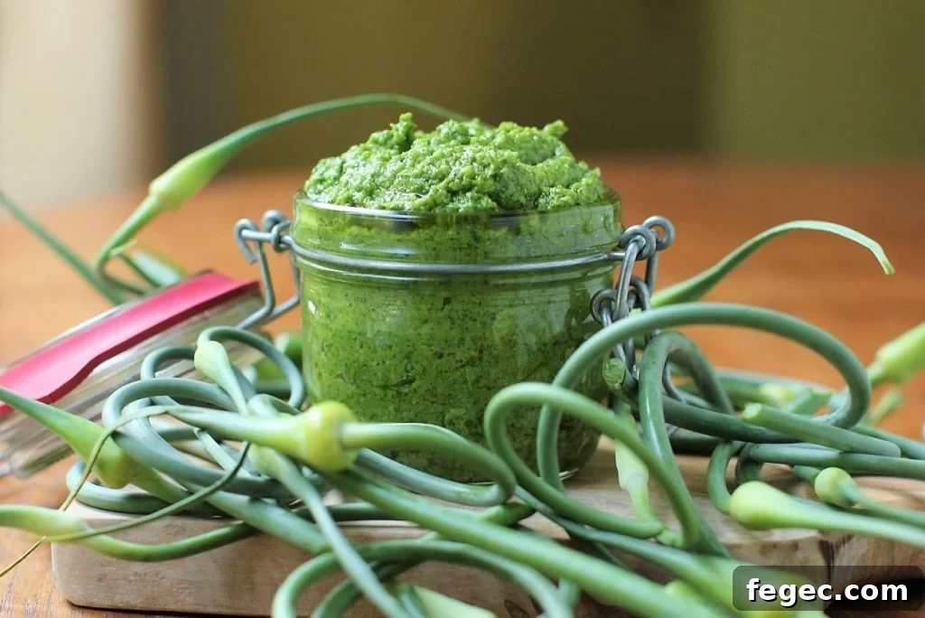 garlic scape pesto with scapes