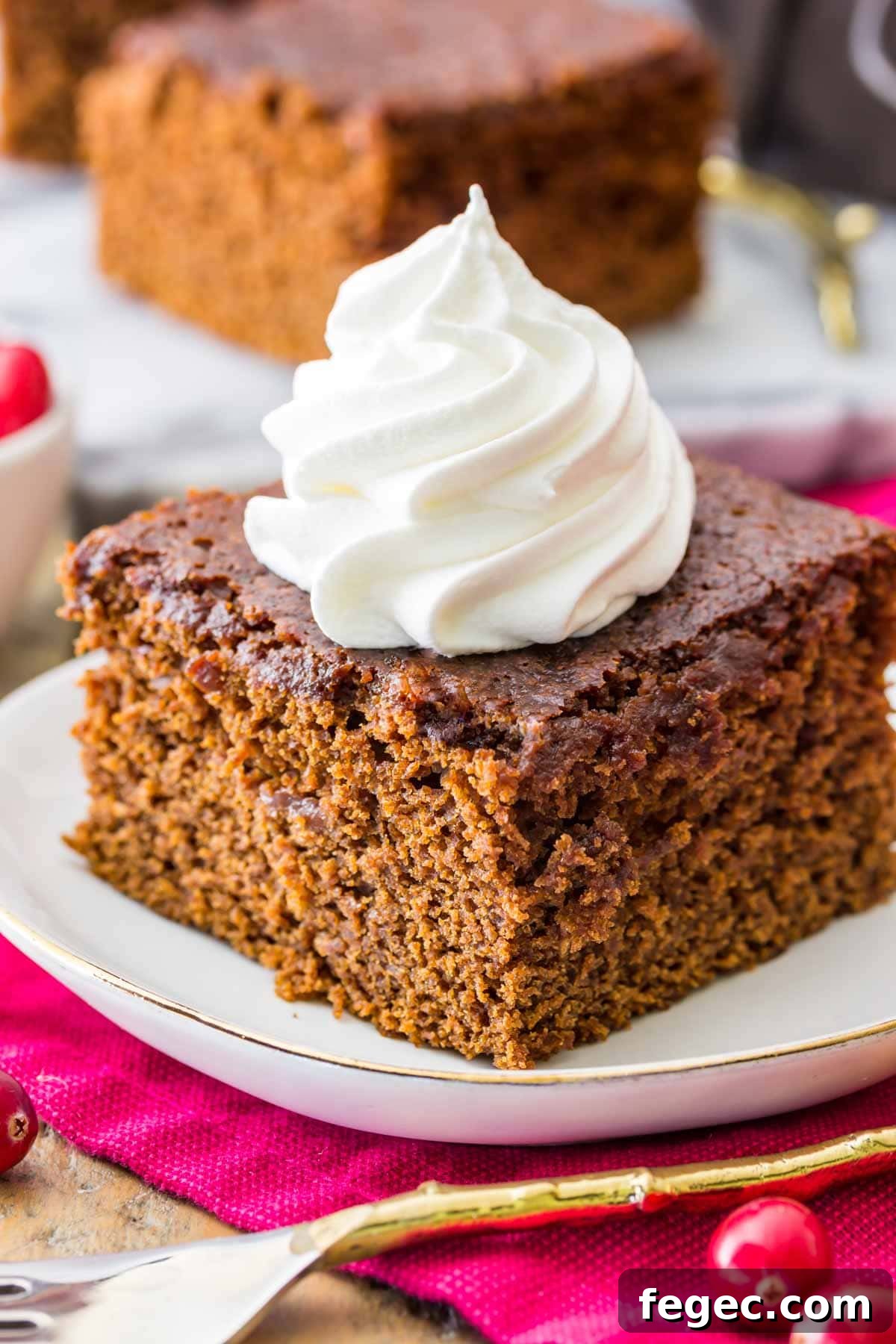 A square slice of gingerbread on a white plate topped with dollop of whipped cream
