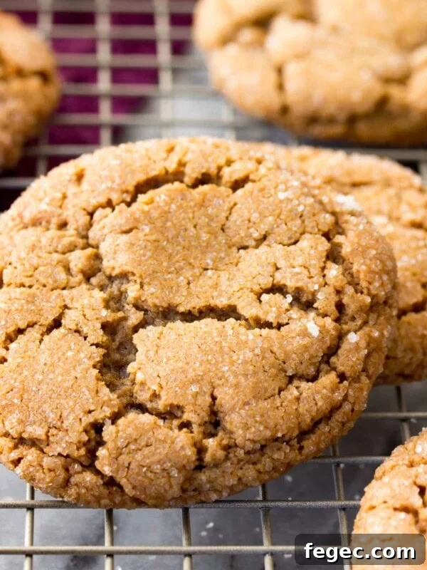 Crackly topped molasses cookies on a cooling rack
