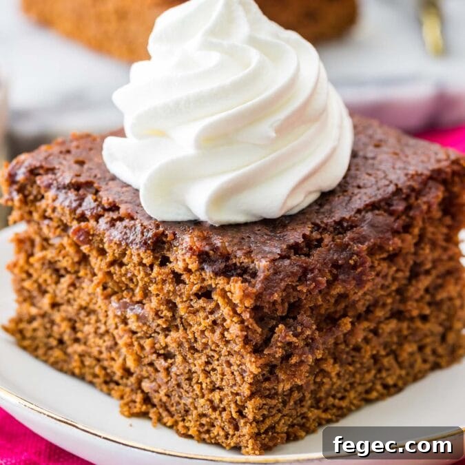 square slice of gingerbread topped with dollop of whipped cream