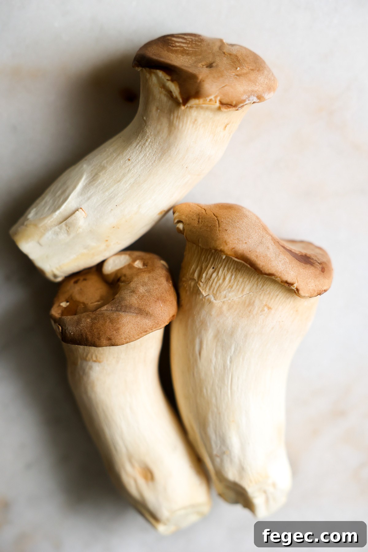 Three large king oyster mushrooms on the counter.