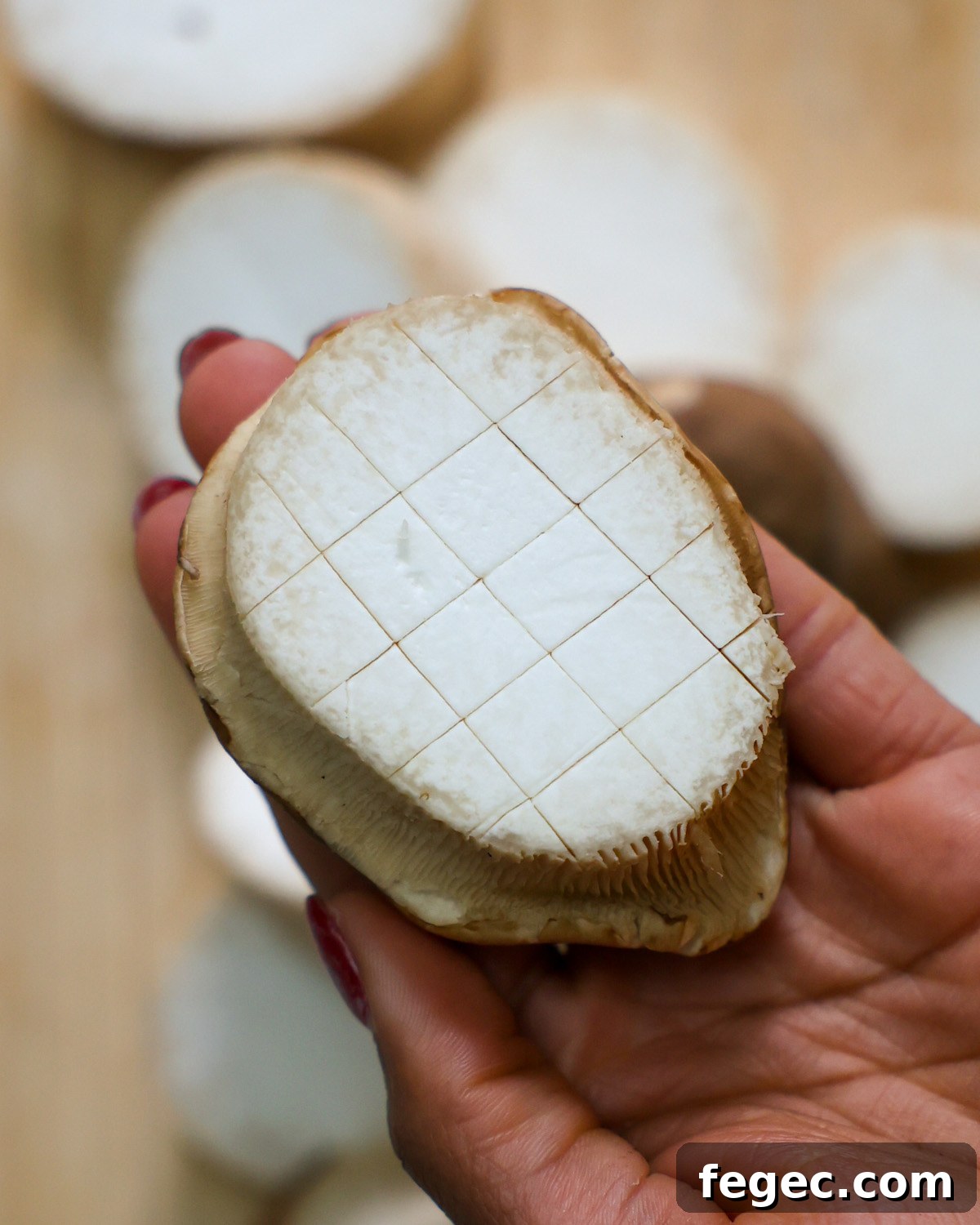Holding a cut and scored slice of king oyster mushroom.