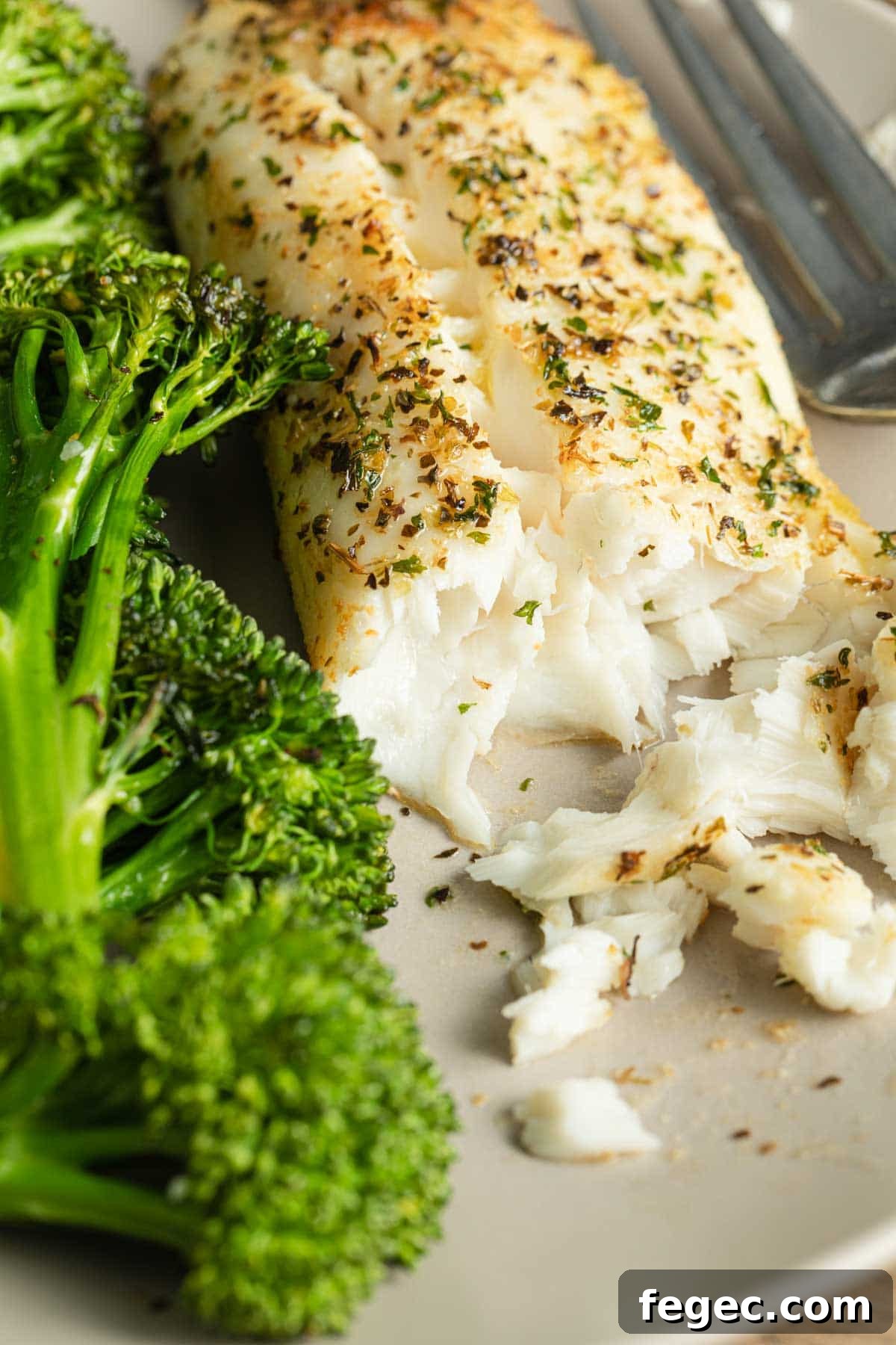 Close up side view of a piece of cooked tilapia flaked apart.