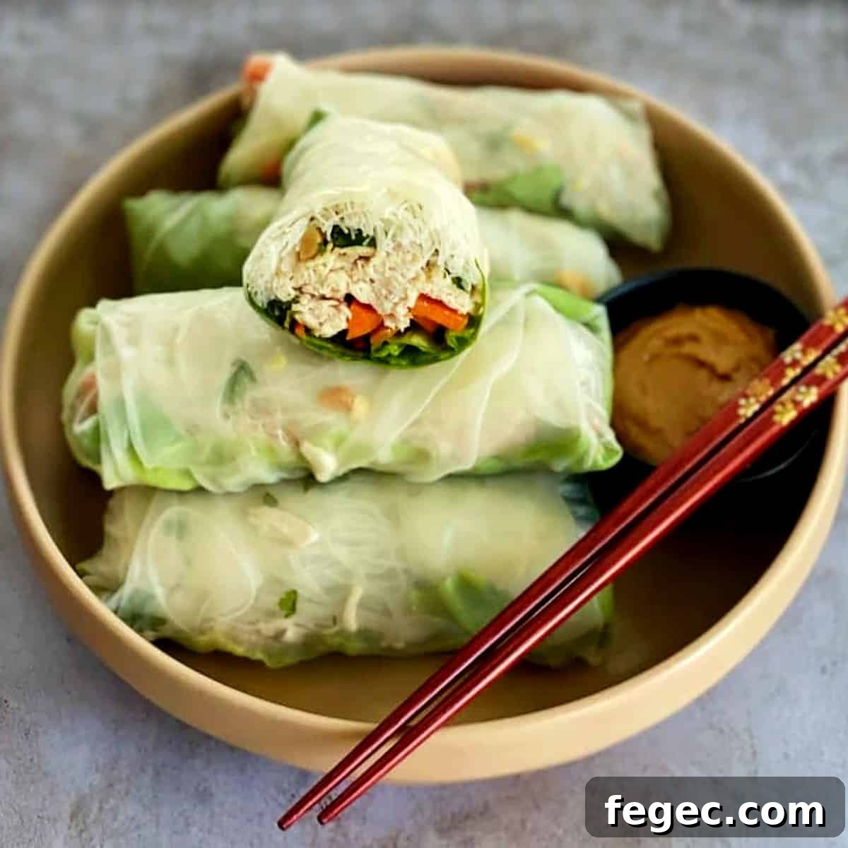 spring-rolls-on-a-plate-with-peanut-sauce