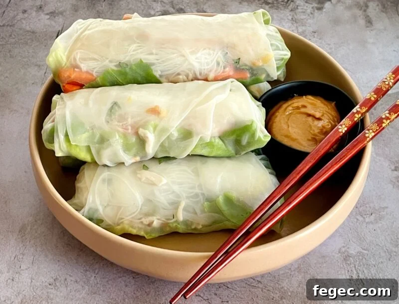 spring rolls with peanut sauce on a plate