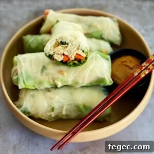 spring-rolls-on-a-plate-with-peanut-sauce