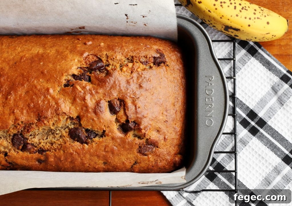 chocolate chip banana bread