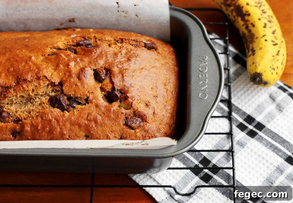 chocolate chip banana bread