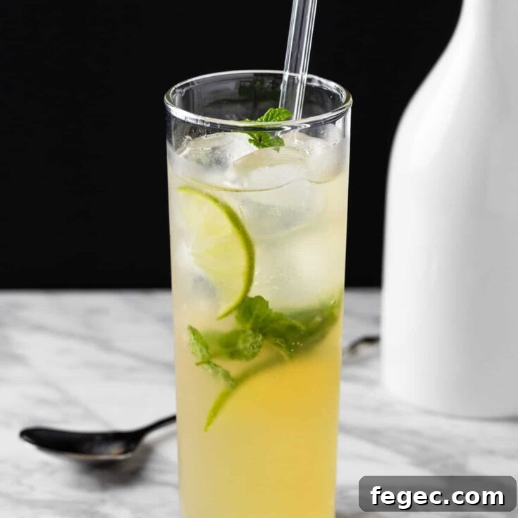 A ginger ale mojito garnished with fresh mint and lime slices.