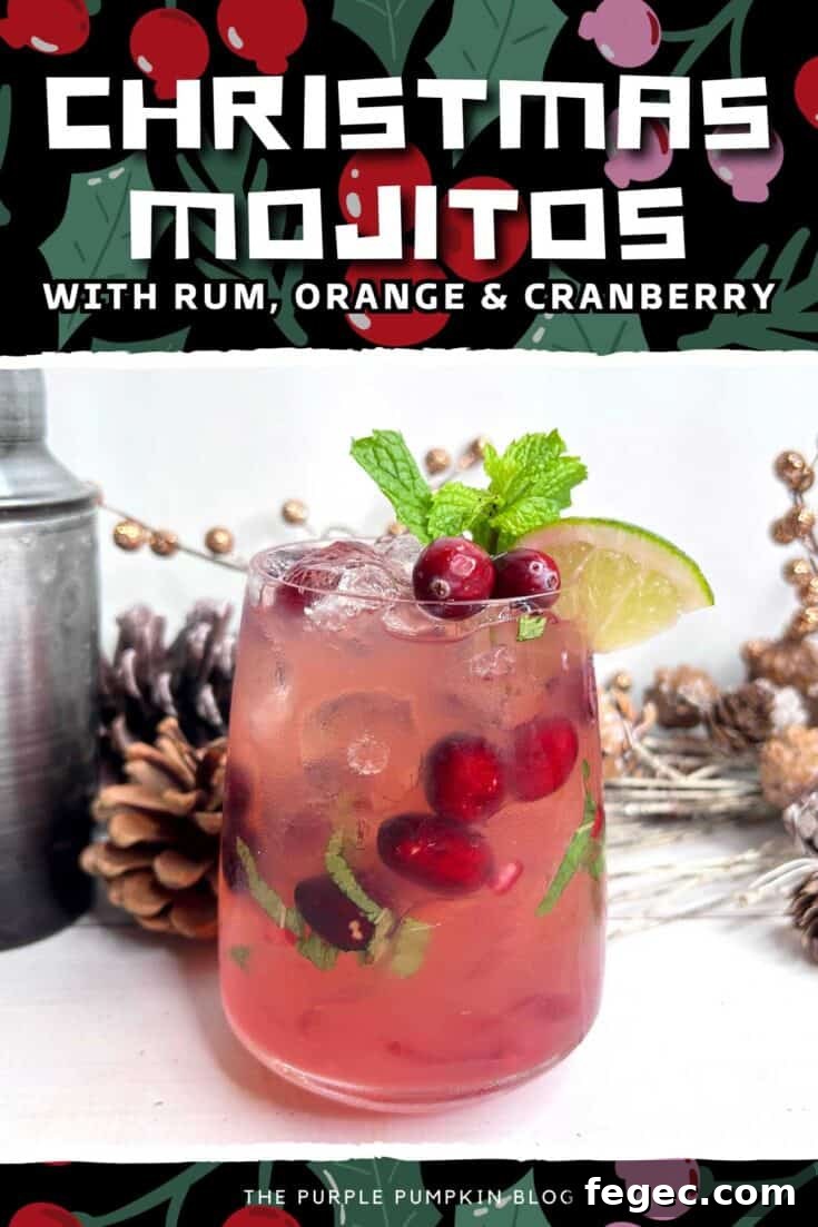 A Christmas mojito garnished with min and cranberries.