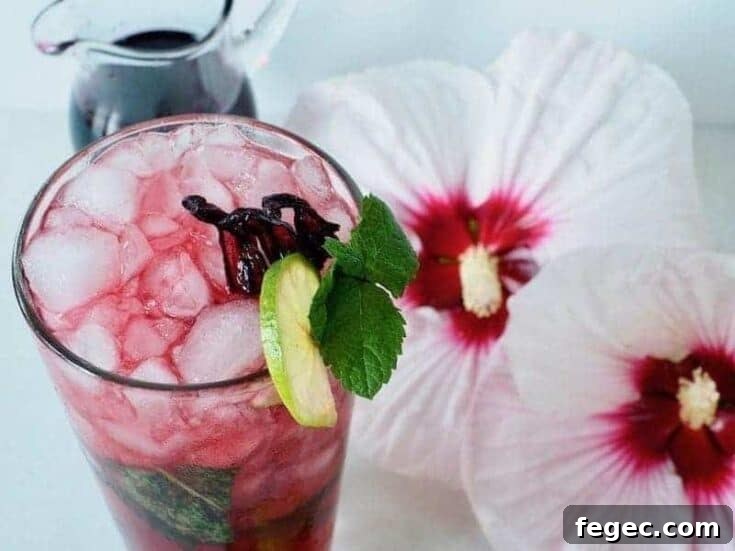 A hibiscus mojito garnished with mint and lime.