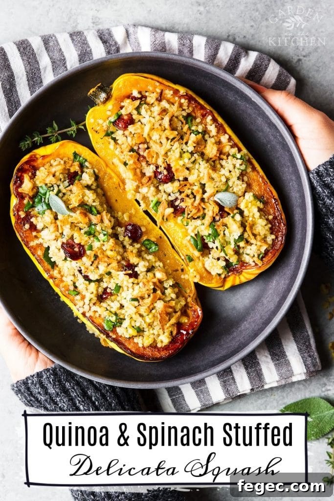 stuffed delicata squash