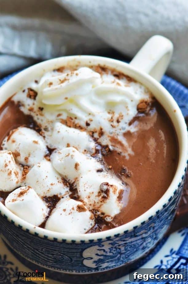 Creamy Instant Pot Hot Chocolate Recipe for Cozy Nights 2 Instant pot hot chocolate with chocolate chips