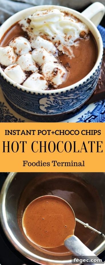 Creamy Instant Pot Hot Chocolate Recipe for Cozy Nights 12 Hot Chocolate in pressure cooker instant pot