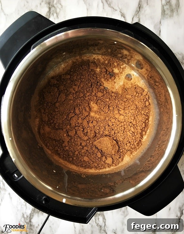 Creamy Instant Pot Hot Chocolate Recipe for Cozy Nights 3 Pressure cooker hot chocolate with cocoa powder