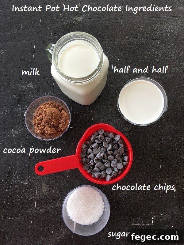 Creamy Instant Pot Hot Chocolate Recipe for Cozy Nights 4 Recipe Ingredients