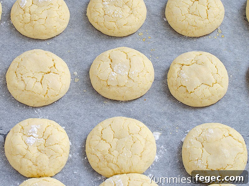Preparing Sugar Cookies - Step 2