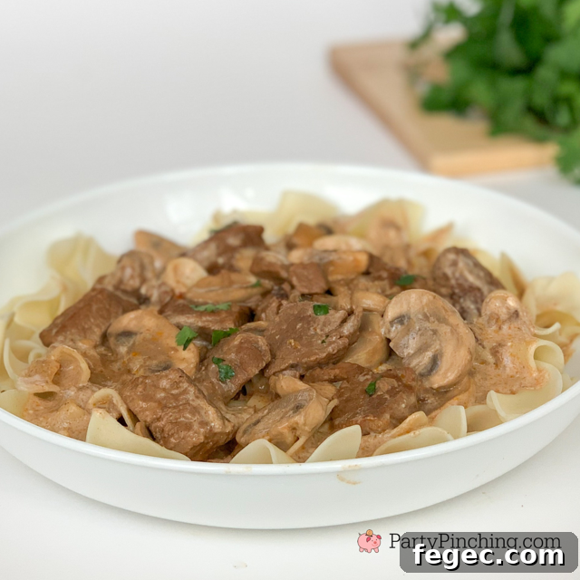absolute best beef stroganoff, rich creamy tender beef stroganoff recipe, best comfort family dinner meals ideas meals recipes, kid friendly dinner recipes, best easy beef stroganoff