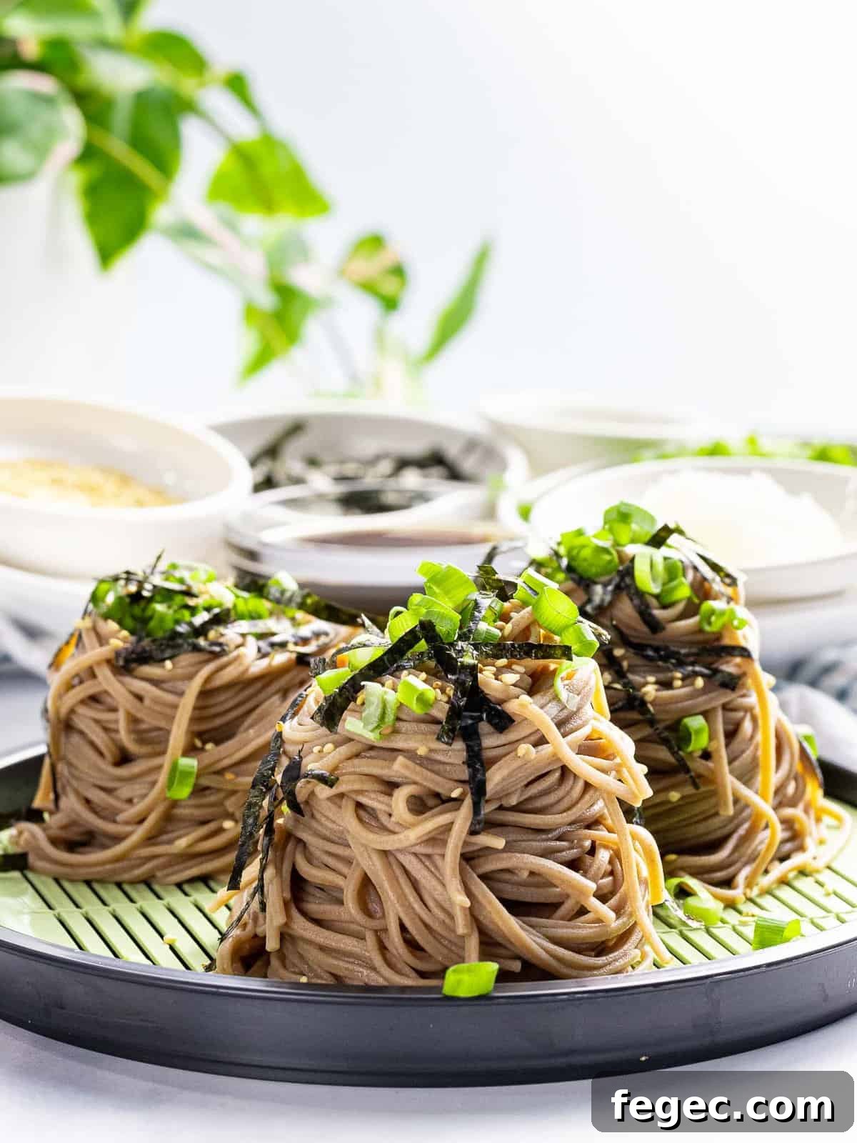 Portions of cold soba noodles topped with nori, green onions, and sesame seeds.