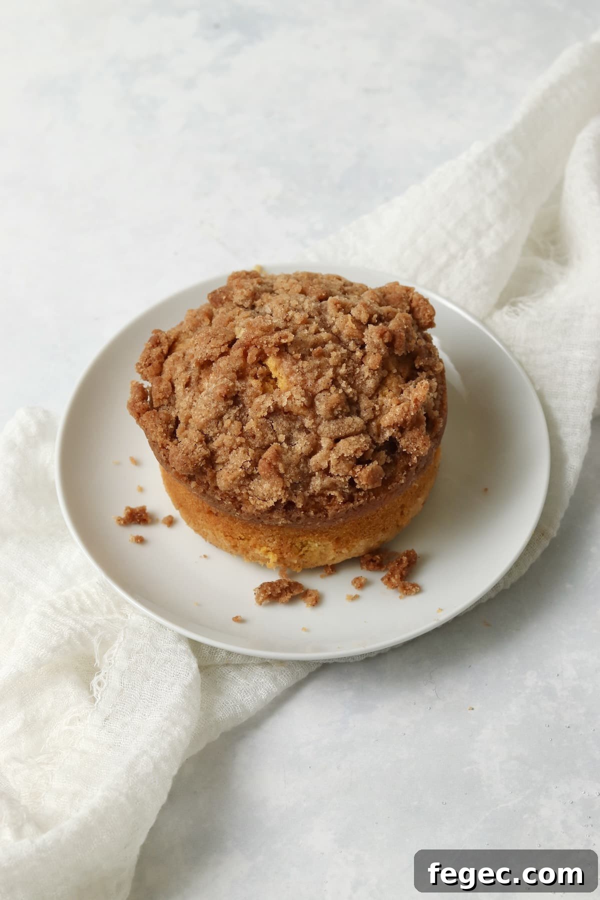 Single-Serve Pumpkin Coffee Cake Recipe (Small Batch) 10 Single serve pumpkin coffee cake with streusel on a plate.