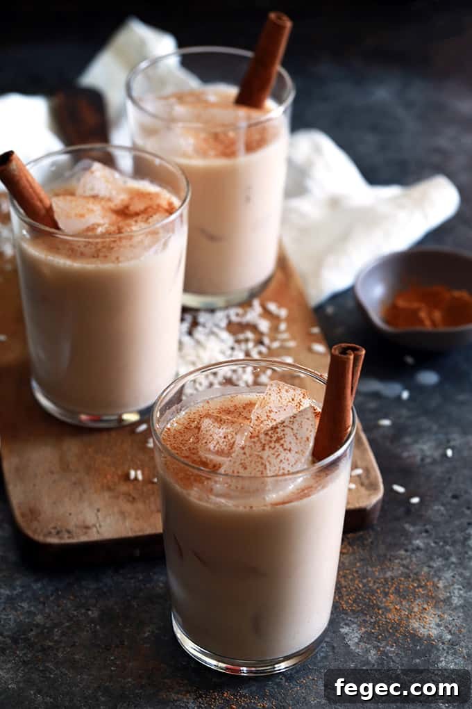 Kefir Horchata | Melanie Makes