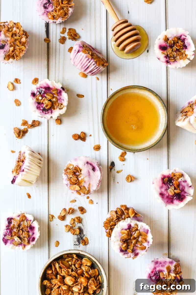 Berry Frozen Yogurt Bites