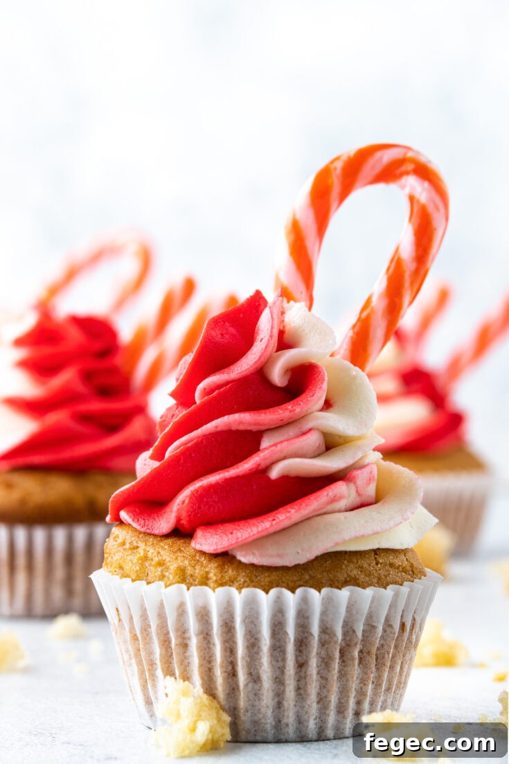 the completed candy cane cupcakes ready to be served.