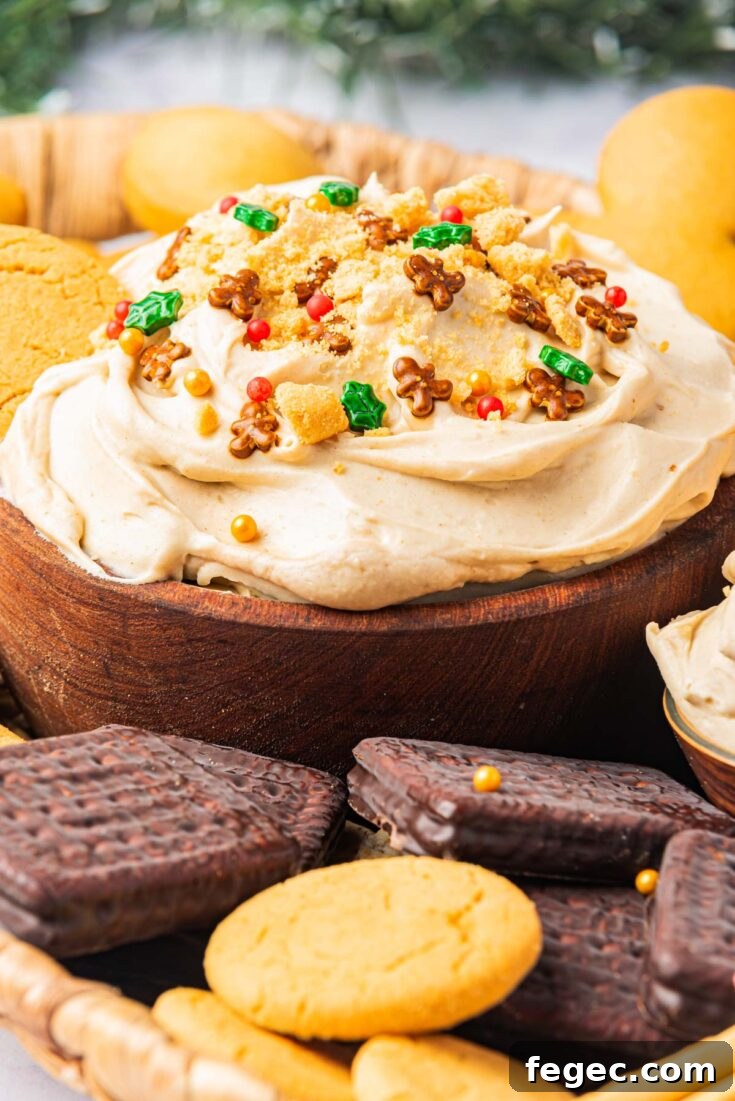 A close up of gingerbread cheesecake dip surrounded by cookies