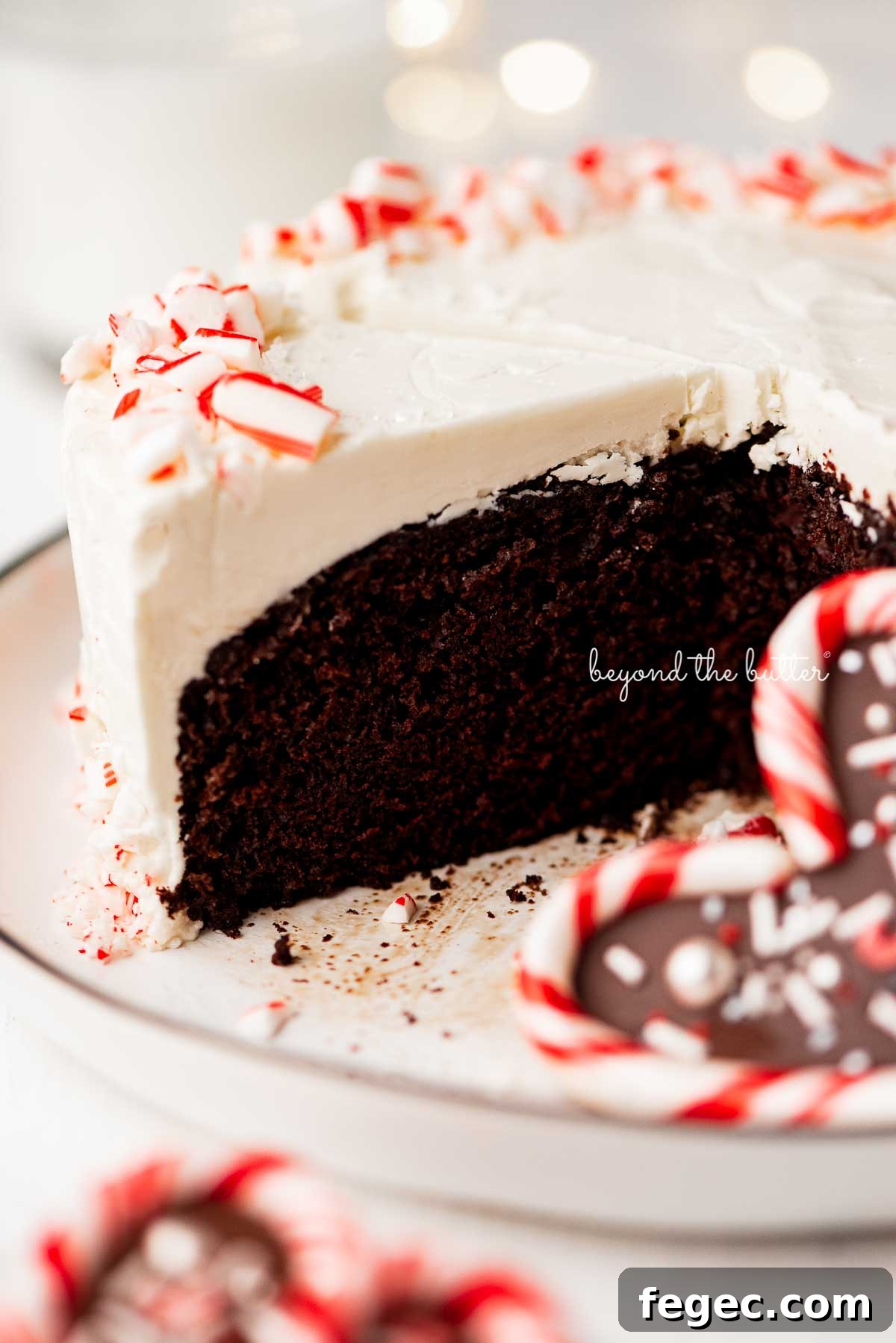 Single layer chocolate peppermint cake sliced with candy cane heart placed on the dessert plate | © Beyond the Butter®
