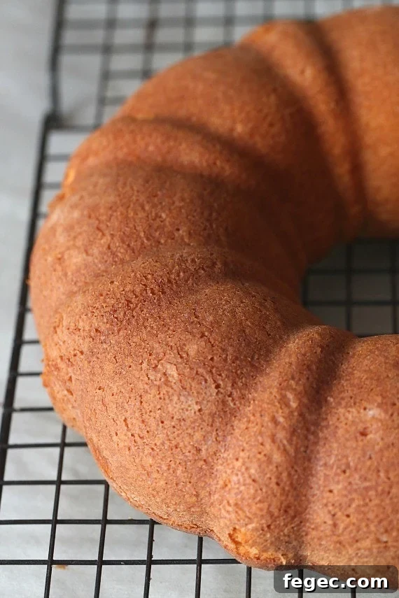 plainbundt