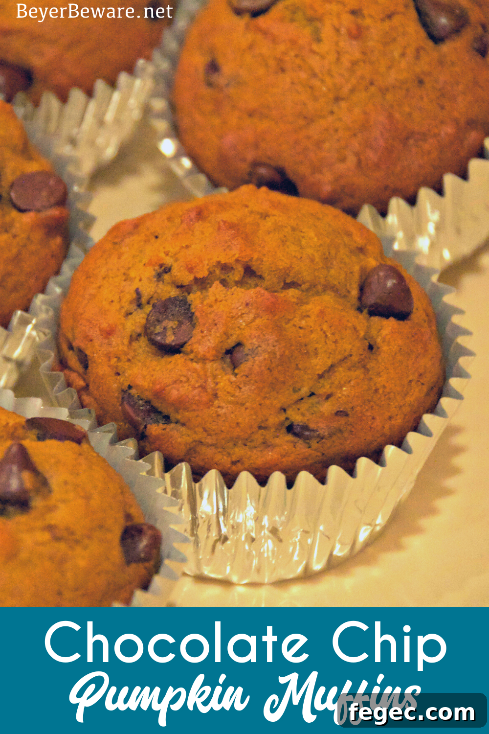 Pumpkin chocolate chip muffins are a staple of fall snacks and breakfast made from scratch with canned pumpkin and plenty of chocolate chips to make the kids feel like they aren't eating healthy food.