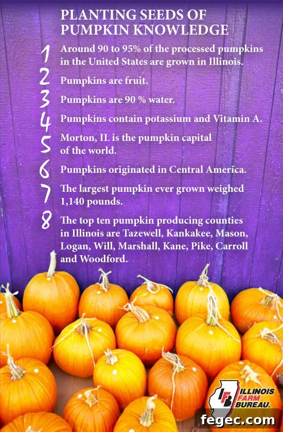 Pumpkin Puree Facts